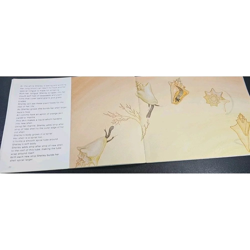 Shelley By Orr, Katherine‎ Paperback